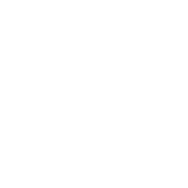 OPTIMIZACIÓN DEL SEO