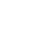 VIDEO MARKETING