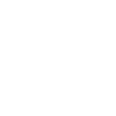 WEB DESIGN & UX
